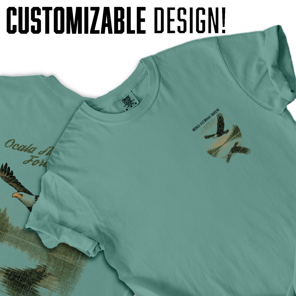 Ocala National Forest Eagle T-Shirt – Wings Over Still Waters, Nature Wildlife Tee, Outdoor Adventure Souvenir Gift