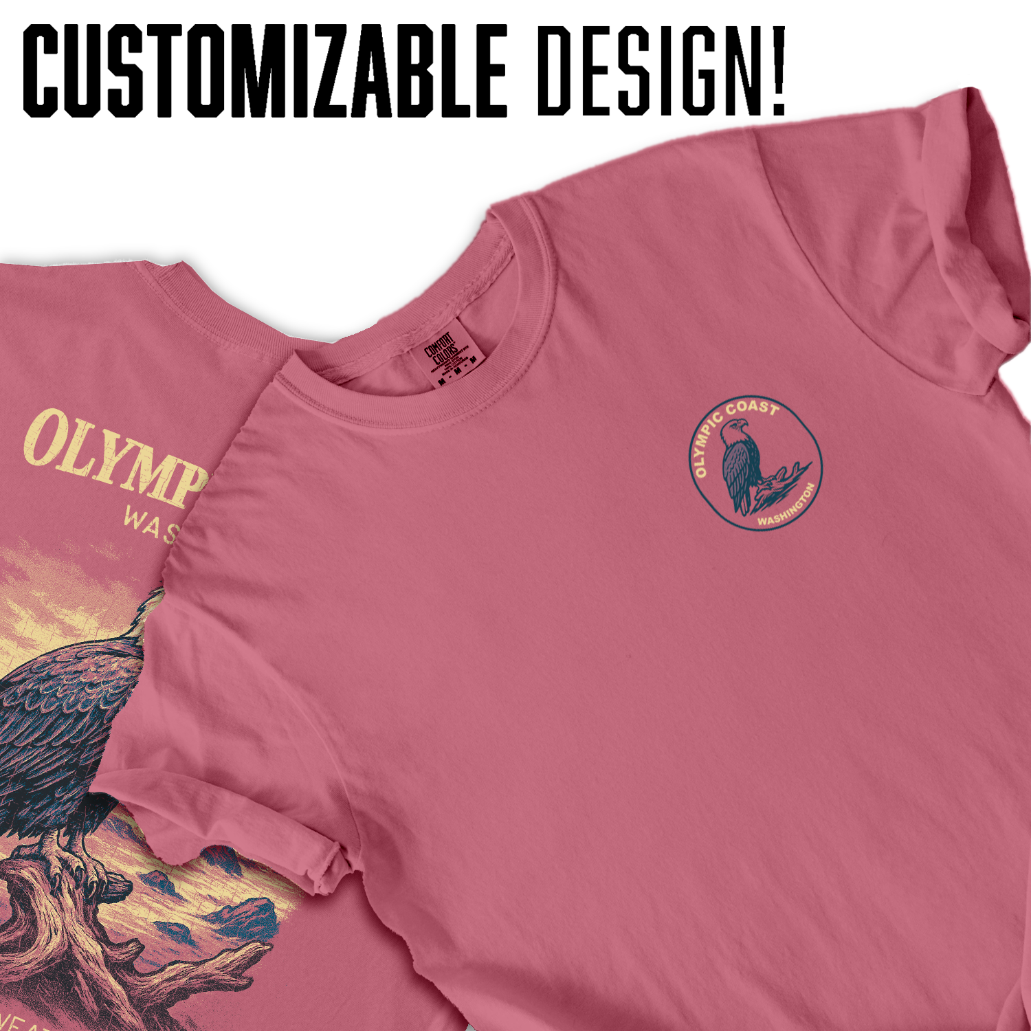 Olympic Coast Washington Bald Eagle T-Shirt | Vintage Wildlife Graphic Tee | Pacific Northwest Nature Shirt