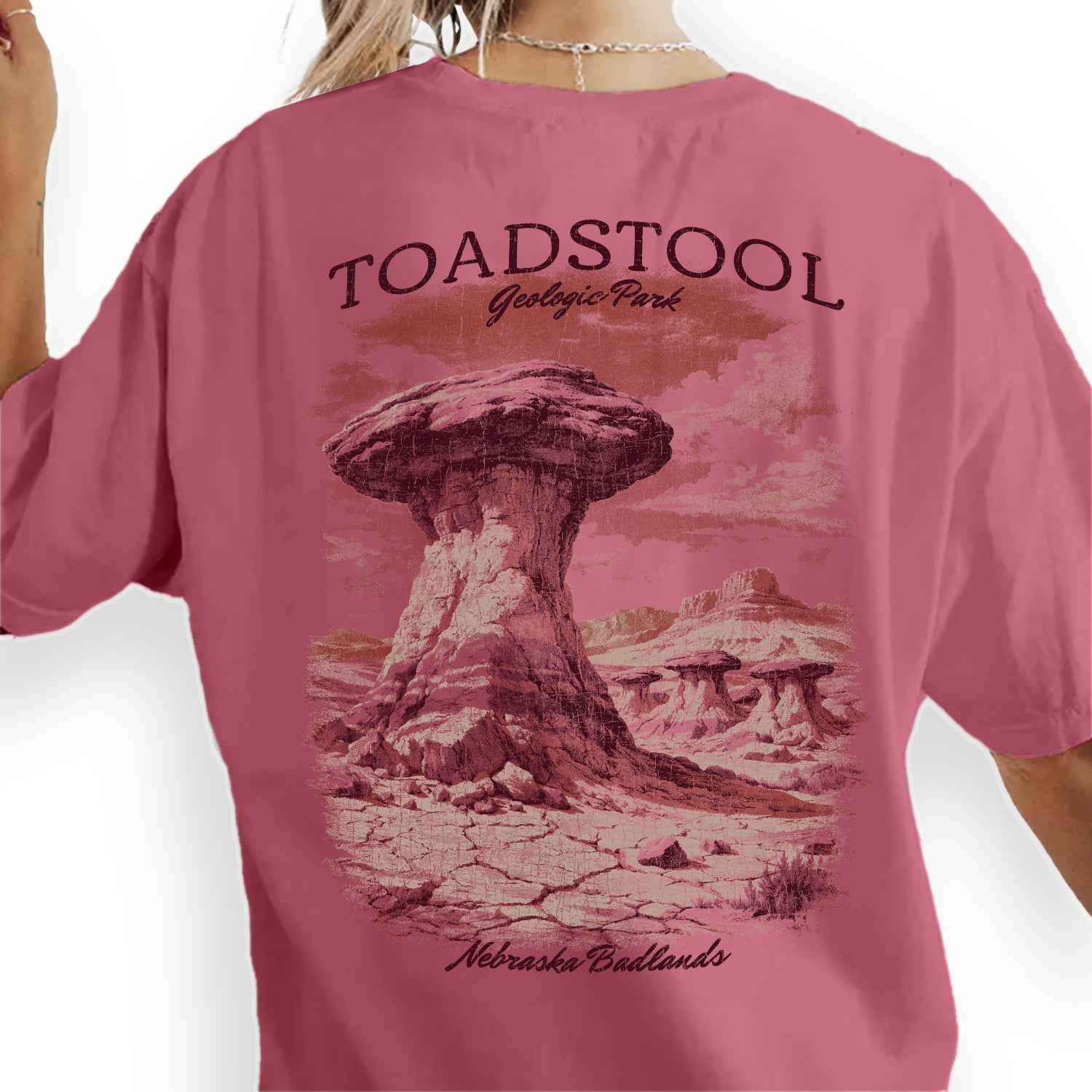 Toadstool Geologic Park Nebraska T-Shirt, Badlands Rock Formation Tee, Vintage Desert Landscape Shirt, Nebraska Travel Souvenir