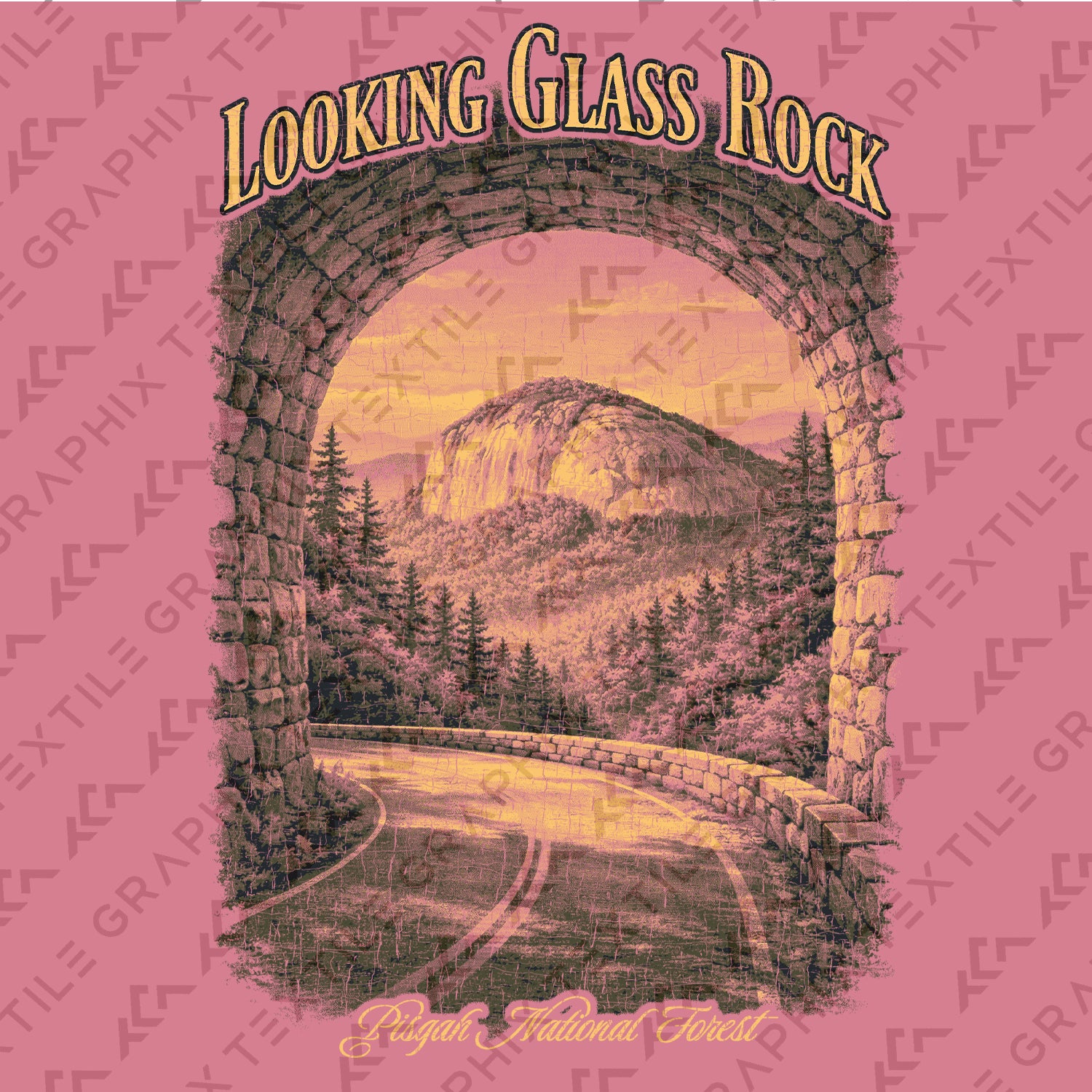Looking Glass Rock Shirt, Pisgah National Forest Tee, North Carolina Mountain T-Shirt, Scenic Hiking Graphic Tee, Nature Lover Gift