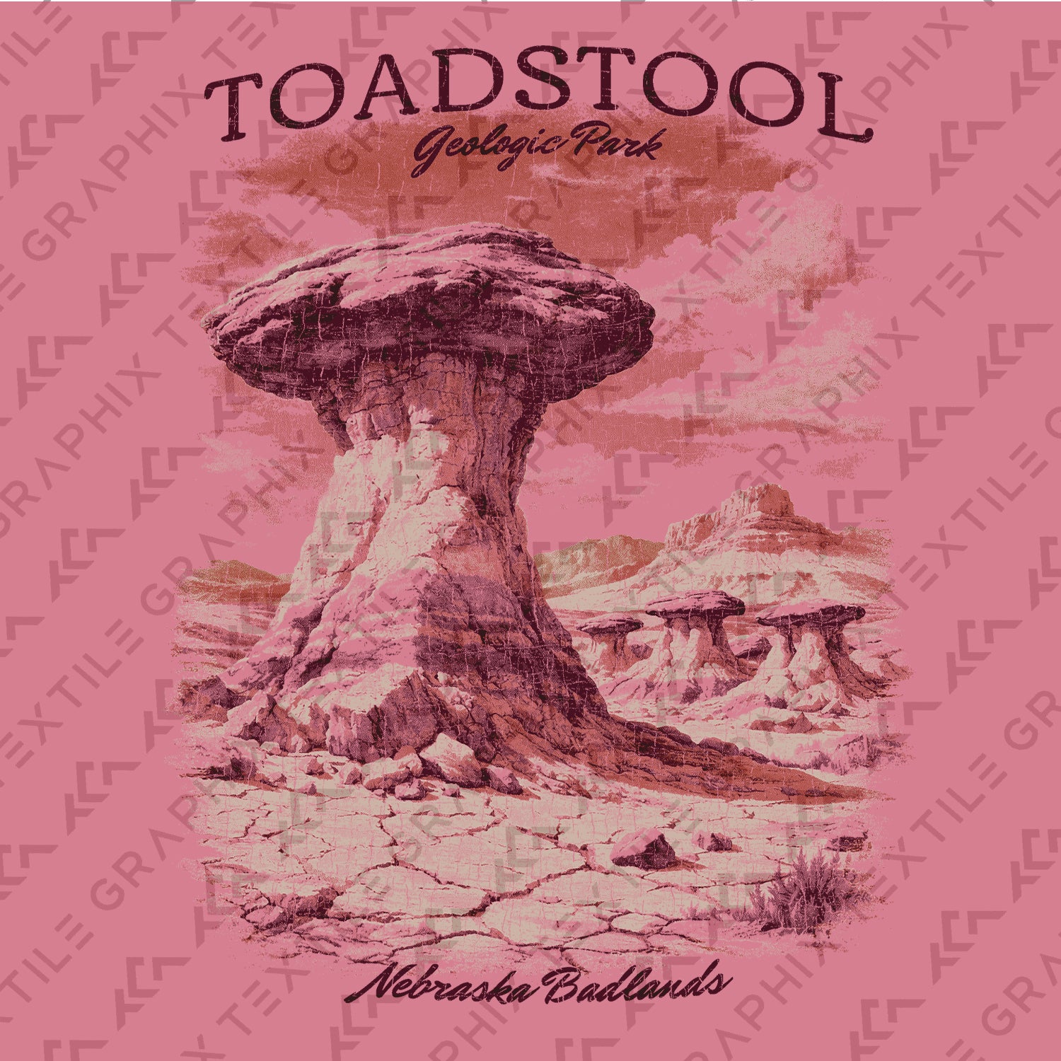 Toadstool Geologic Park Nebraska T-Shirt, Badlands Rock Formation Tee, Vintage Desert Landscape Shirt, Nebraska Travel Souvenir