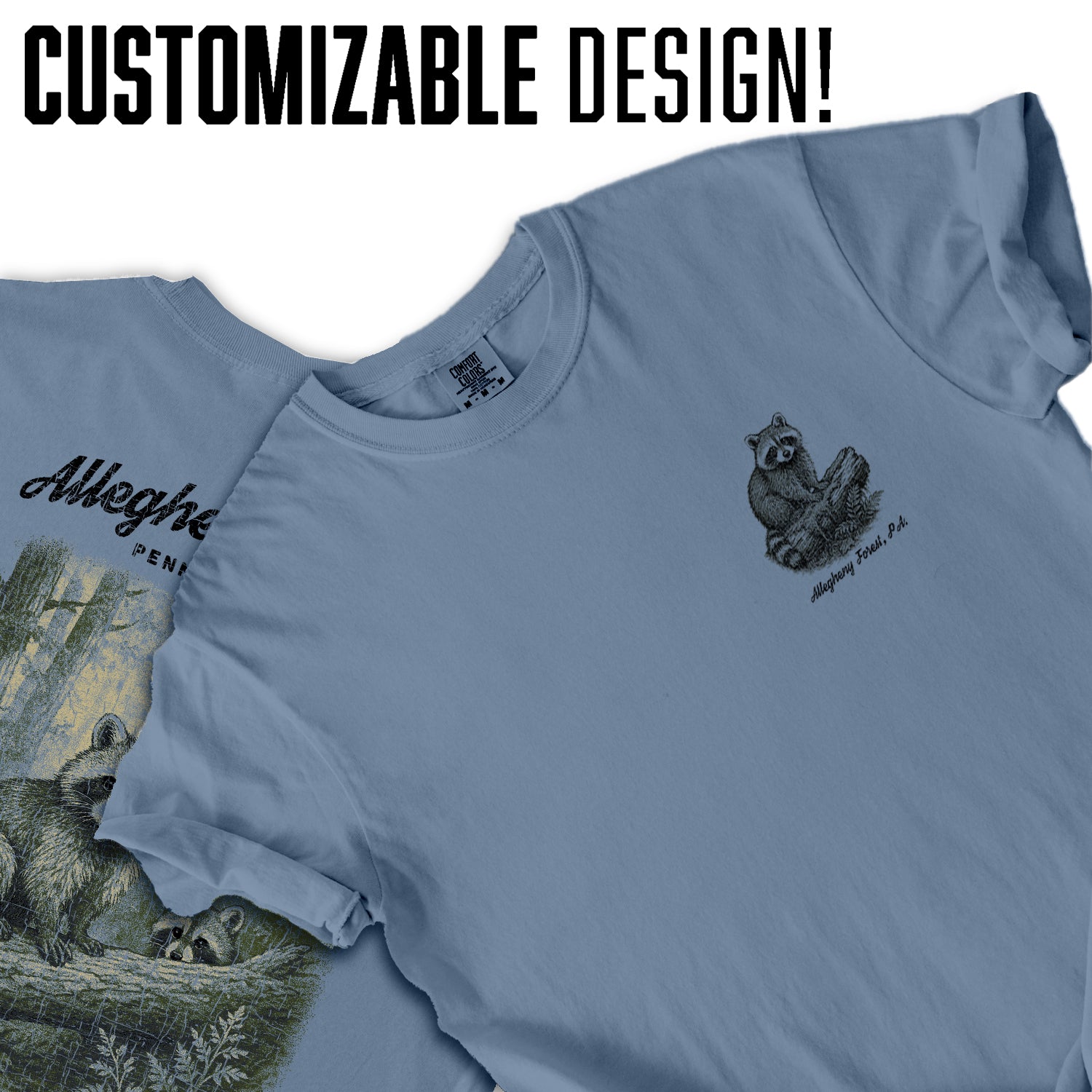 Allegheny Forest Raccoon T-Shirt Pennsylvania Souvenir | Nature Hiking Tee | Hidden Trails Quiet Souls Wildlife Shirt