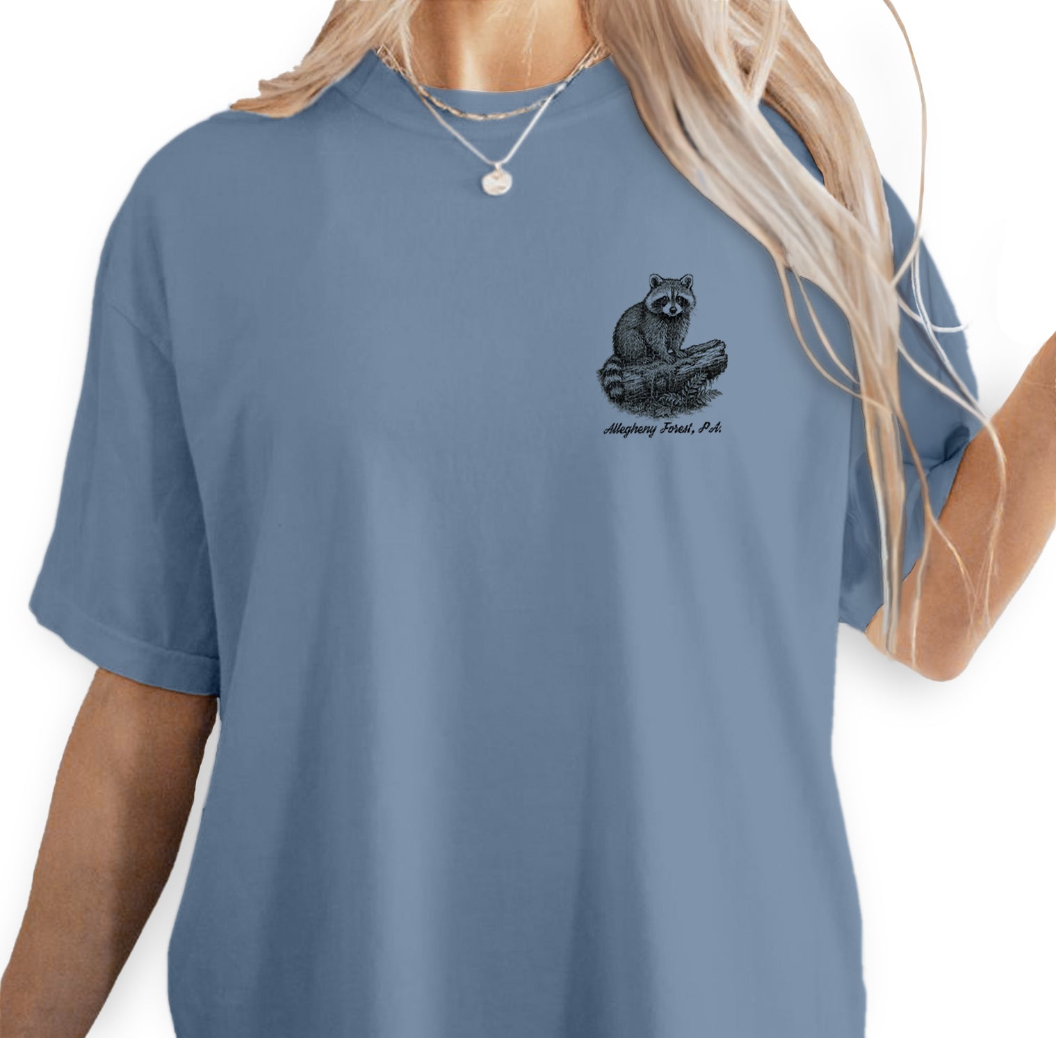 Allegheny Forest Raccoon T-Shirt Pennsylvania Souvenir | Nature Hiking Tee | Hidden Trails Quiet Souls Wildlife Shirt