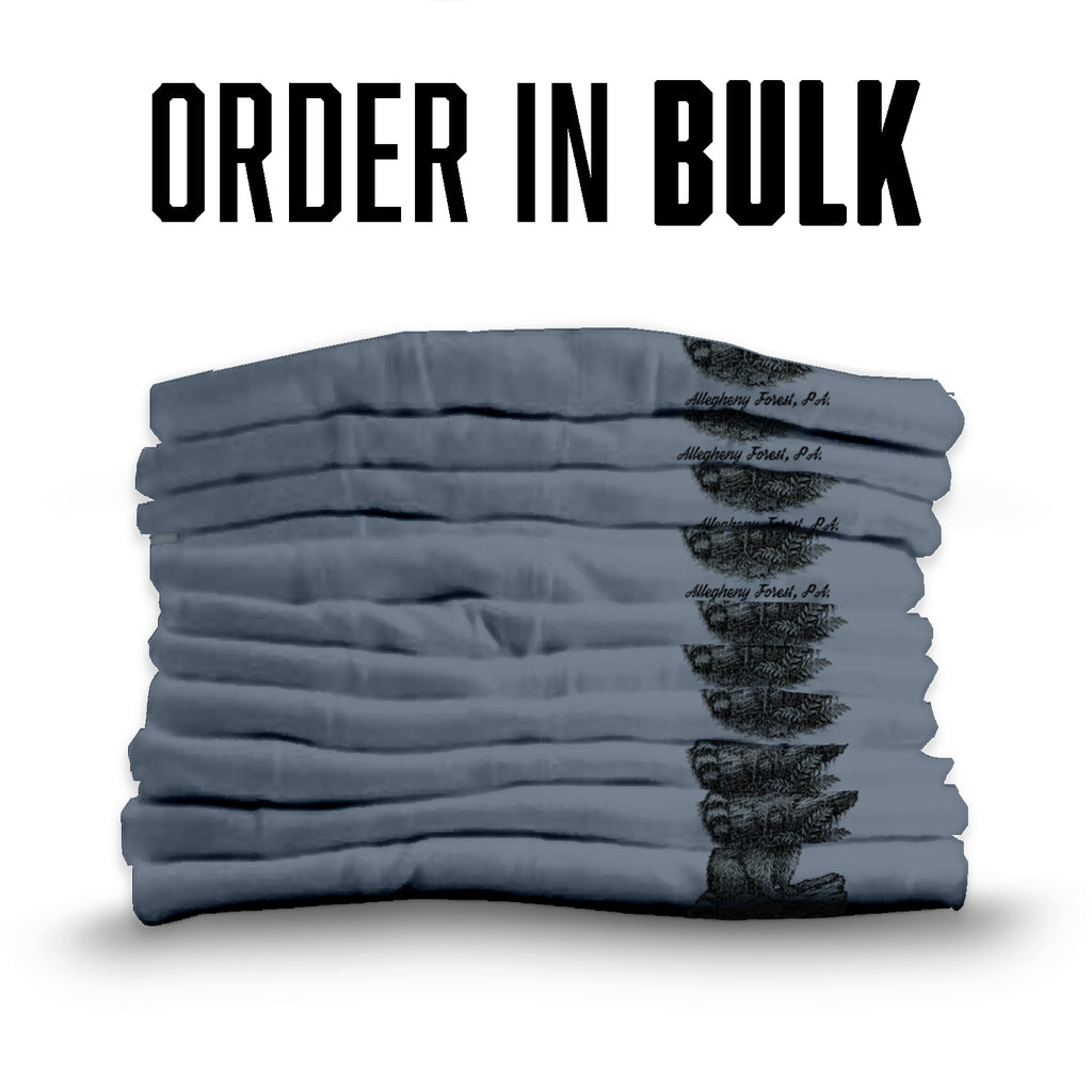 Allegheny Forest Raccoon T-Shirt Pennsylvania Souvenir | Nature Hiking Tee | Hidden Trails Quiet Souls Wildlife Shirt