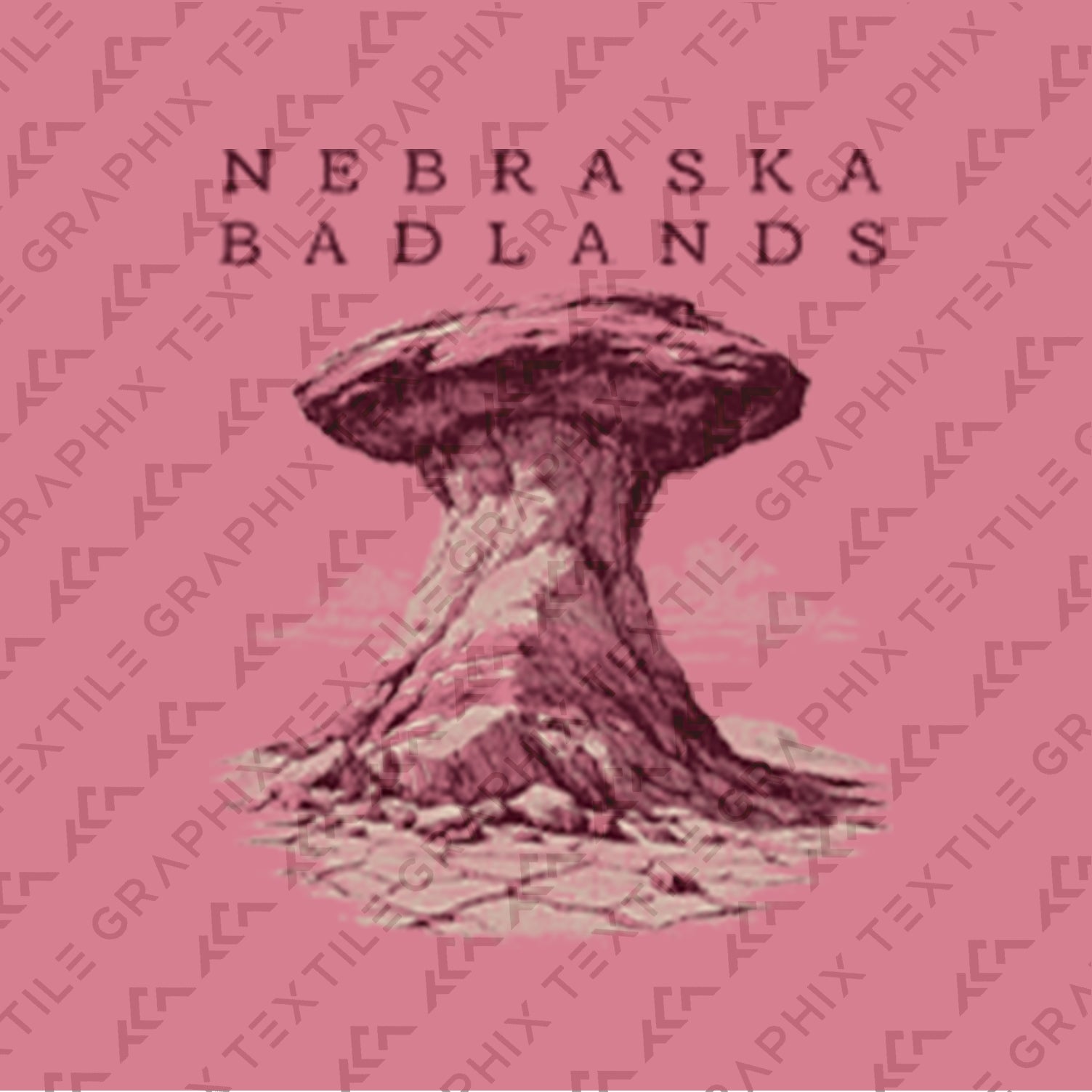 Toadstool Geologic Park Nebraska T-Shirt, Badlands Rock Formation Tee, Vintage Desert Landscape Shirt, Nebraska Travel Souvenir