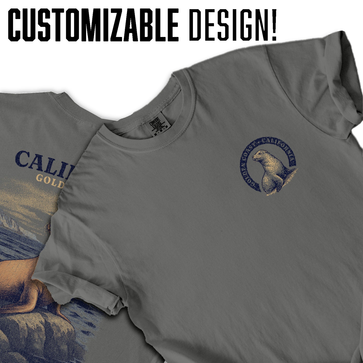 California Golden Coast Sea Lion T-Shirt – Retro Ocean Wildlife Tee, Vintage Coastal Souvenir, Born of Sun & Salt Graphic Shirt