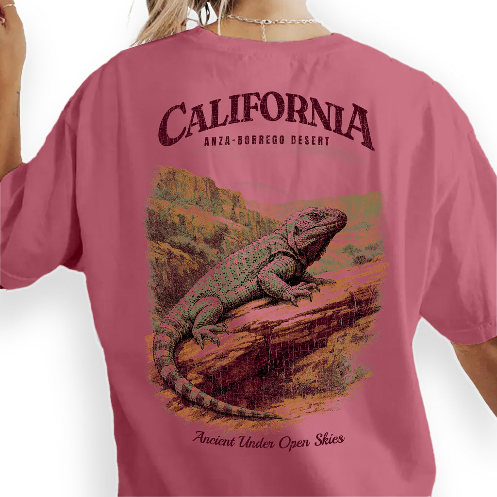 Anza Borrego Desert California T-Shirt Vintage Lizard Graphic Tee | Southwest Travel Souvenir Shirt | Desert Nature Gift