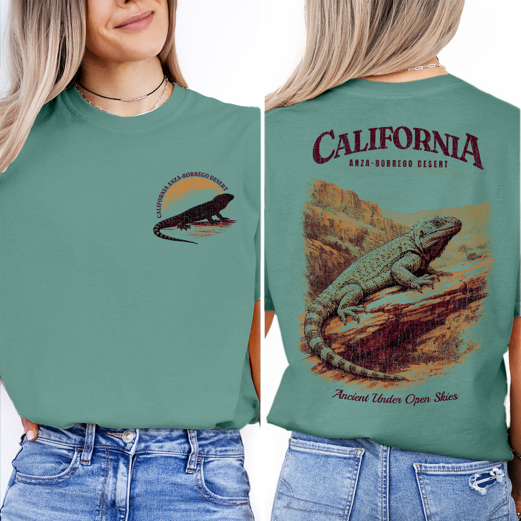 Anza Borrego Desert California T-Shirt Vintage Lizard Graphic Tee | Southwest Travel Souvenir Shirt | Desert Nature Gift