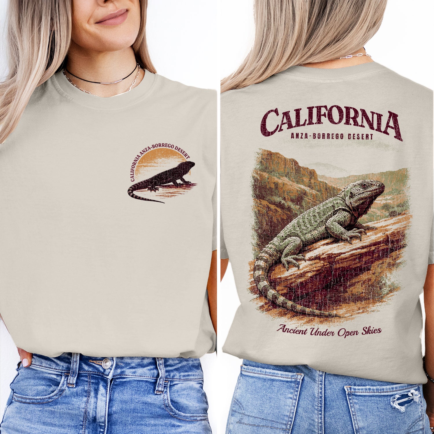 Anza Borrego Desert California T-Shirt Vintage Lizard Graphic Tee | Southwest Travel Souvenir Shirt | Desert Nature Gift