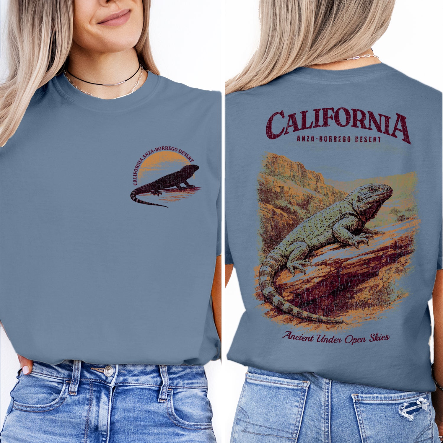 Anza Borrego Desert California T-Shirt Vintage Lizard Graphic Tee | Southwest Travel Souvenir Shirt | Desert Nature Gift