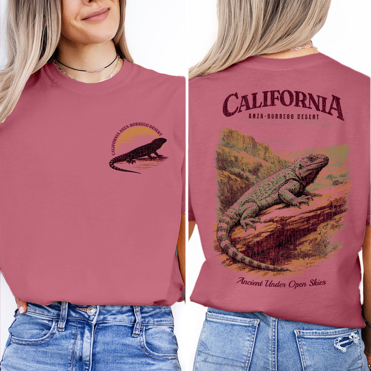 Anza Borrego Desert California T-Shirt Vintage Lizard Graphic Tee | Southwest Travel Souvenir Shirt | Desert Nature Gift