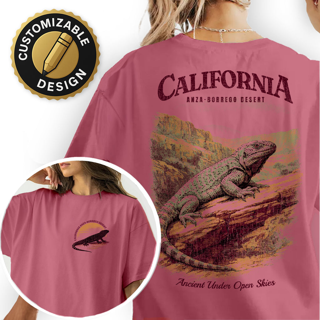 Anza Borrego Desert California T-Shirt Vintage Lizard Graphic Tee | Southwest Travel Souvenir Shirt | Desert Nature Gift