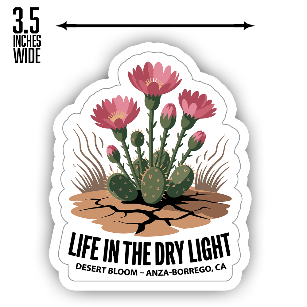 Anza-Borrego Sticker – Life in the Dry Light Desert Bloom Cactus Flower Design, California Desert Souvenir Decal