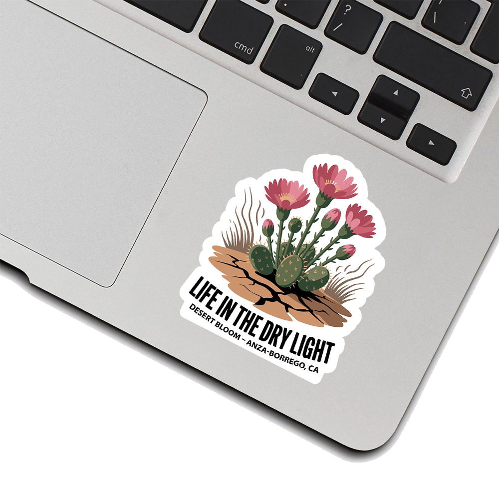 Anza-Borrego Sticker – Life in the Dry Light Desert Bloom Cactus Flower Design, California Desert Souvenir Decal